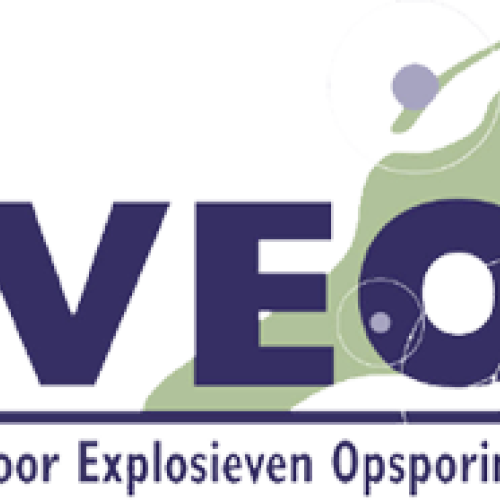 Logo VEO.png