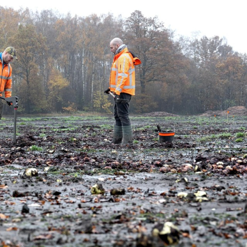 KWS OCE - Dagblad de limburger.jpg