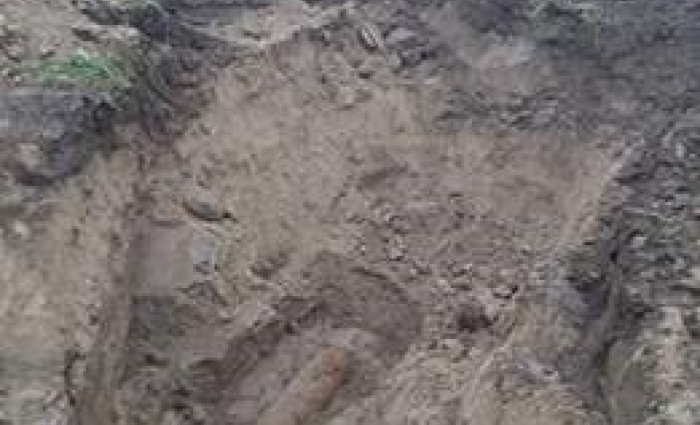 OCE - Project Gendtse Waard te Gent 3.jpg