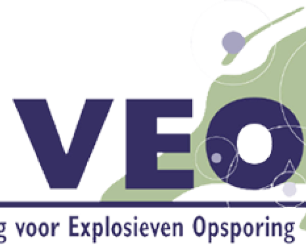 Logo VEO.png
